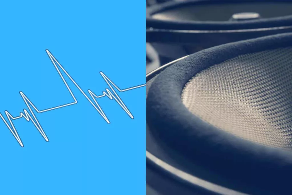 speaker interference